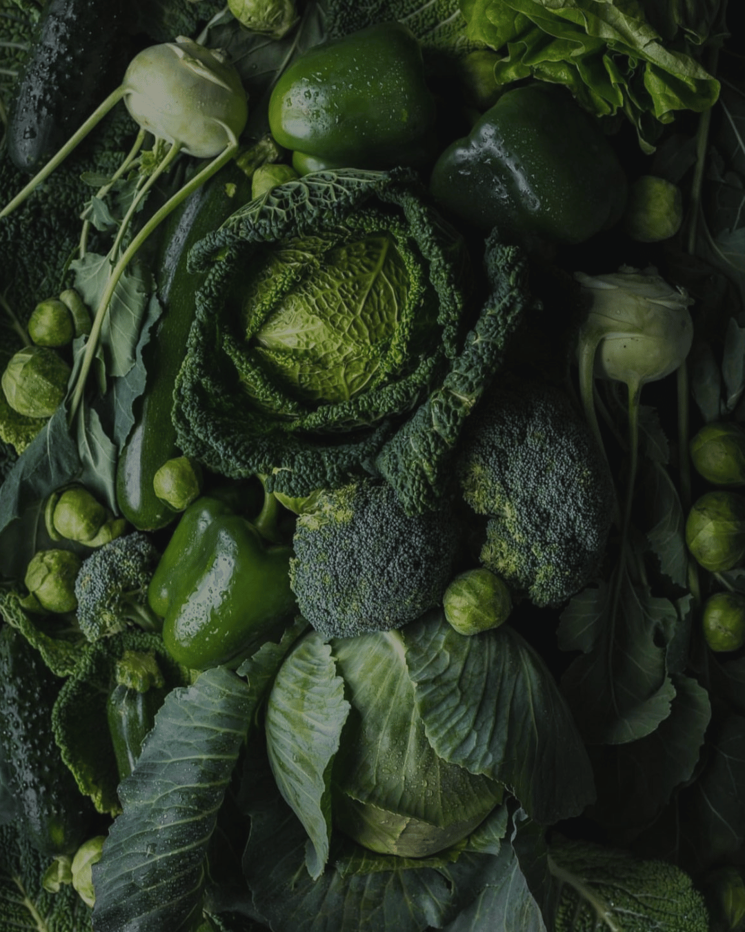 Nutrición en Invierno
